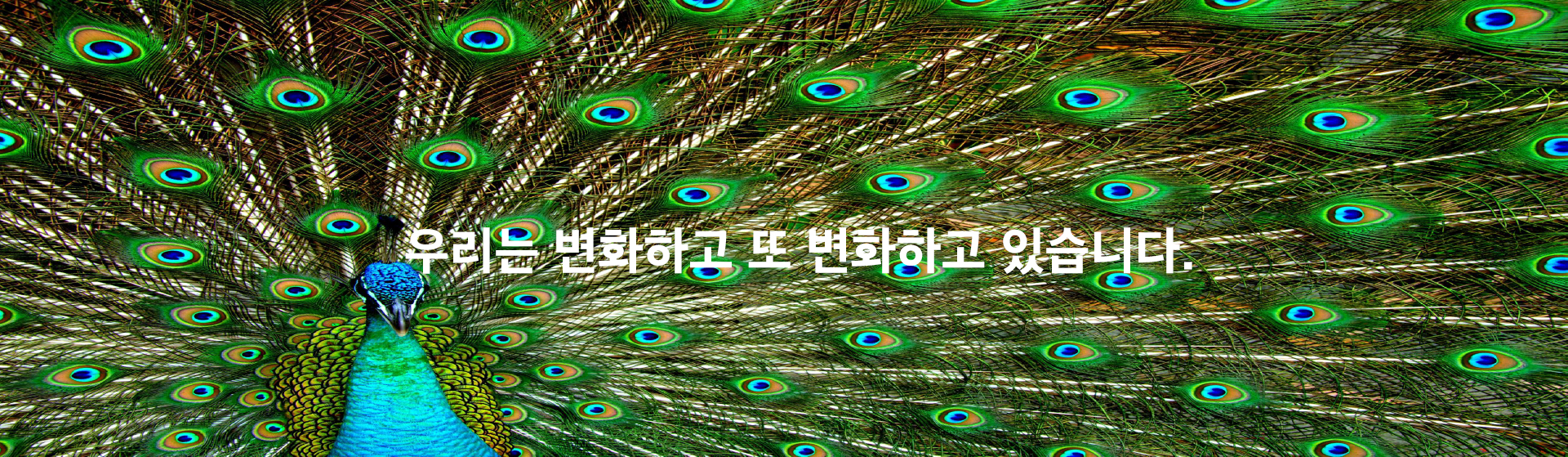 대표소개 메인배너