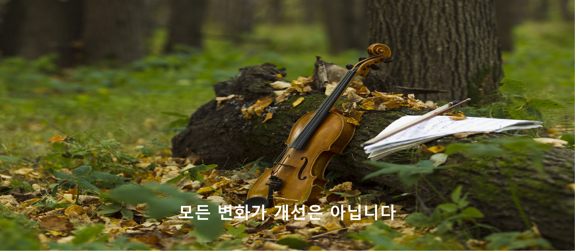 모든 변화가 개선은 아닙니다. 안내 이미지