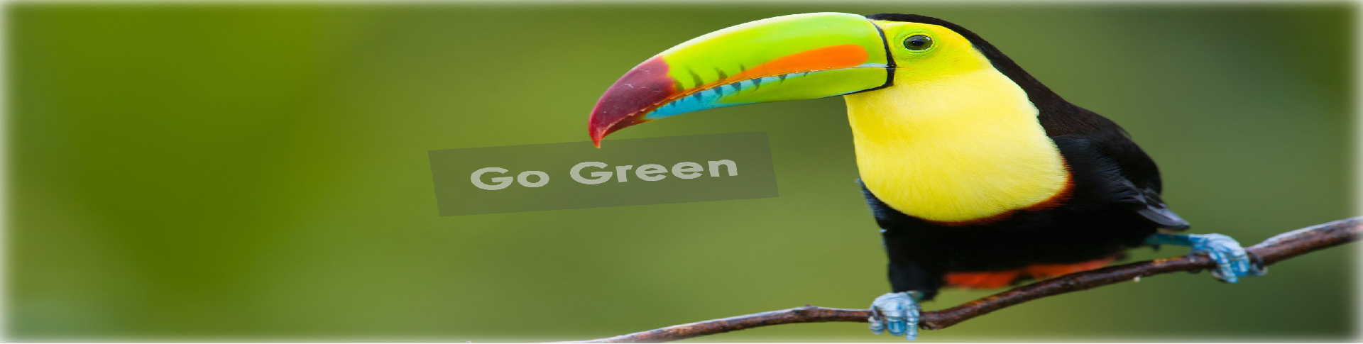 지역사회의 녹색화Greening of Community 안내 이미지